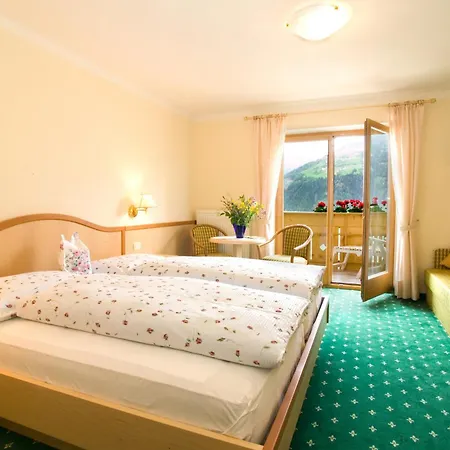 Garni Alpenhof Hotel 3*